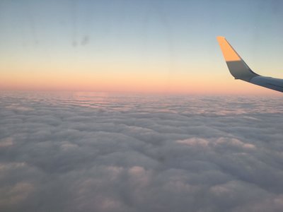 IMG_2958