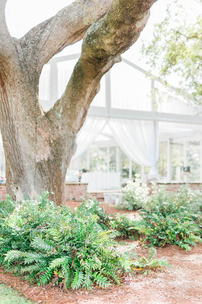 Charleston Wedding Photographers | Laura and Rachel Photography