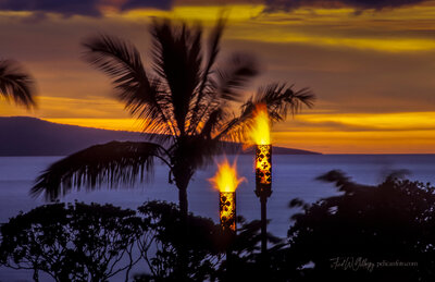 ©FredWGillaspy-HI-Maui-Tiki+Palm-Sunset-0021