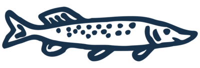 SöderFishing logoikoni eli käsin piirretty hauki