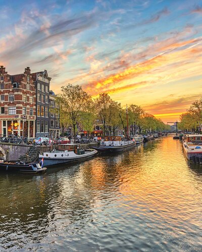 Rhine-River-Cruise-Palms-To-Paris-Travel-58