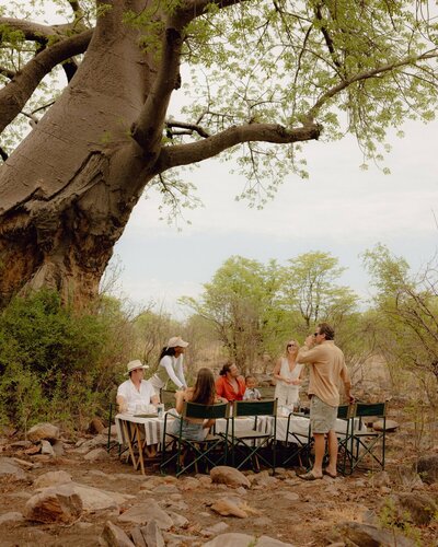 Luxury group dining under a tree on a safari vacation