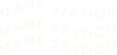 Mane Station Logo