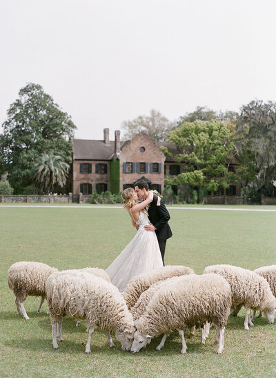 Historic home wedding exterior with the groom dipping his bride for a dramatic kiss amongst grazing sheep