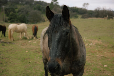 2021-03-08 HOW - Kori + Jared Photography-118