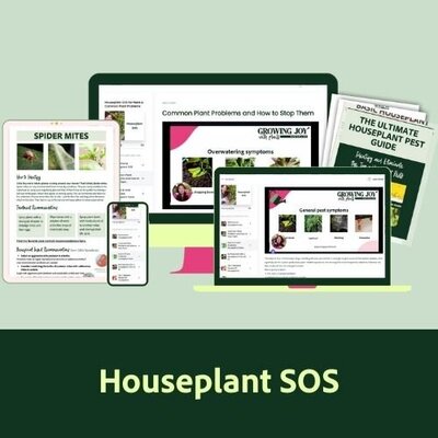 Houseplant SOS Digital Course