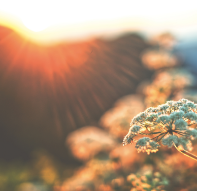 Fall yoga retreat 2025 Kootenays Slocan Valley Mandy Chutskoff