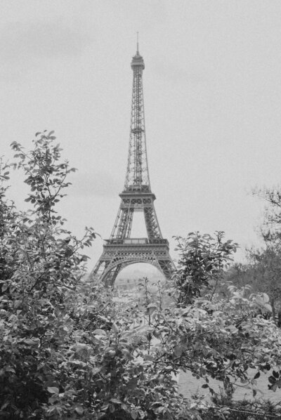 Eiffel tower in Paris France at an elopement