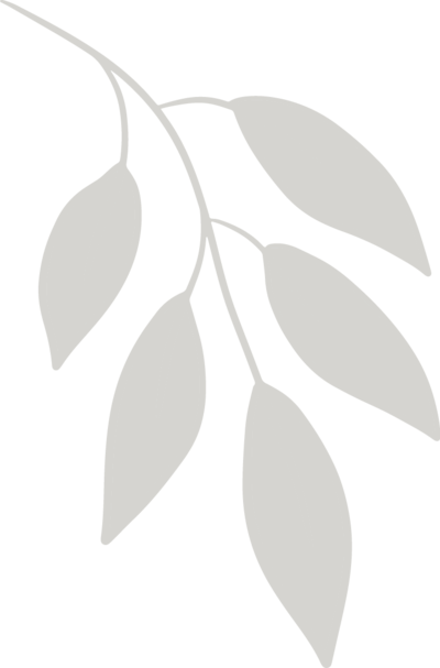 sage leaves