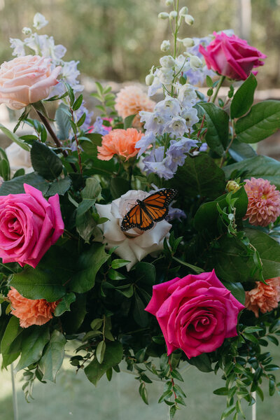 Colorful wedding flower arrangement with vibrant pink roses, peach carnations, dahlias, white garden roses, and soft blue delphinium, featuring a monarch butterfly resting on the blooms—luxury garden-style floral design for weddings.