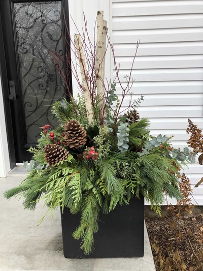 custom winter planters with greenery, cedar sprigs and pinecones by Helena's Gardening