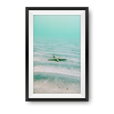 SEALIFE_02