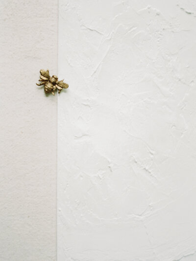 film branding photo for stationer, designer, simple textures with gold brass bee