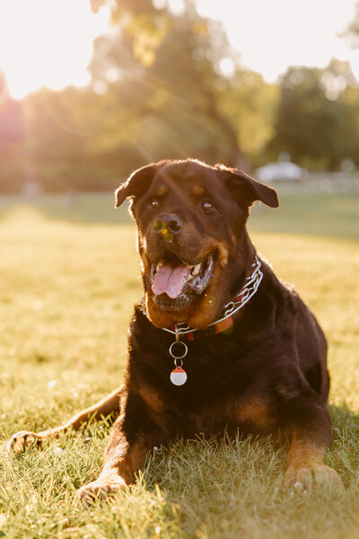 Eddie+Rebecca_DanicaOlivaPhotos_67