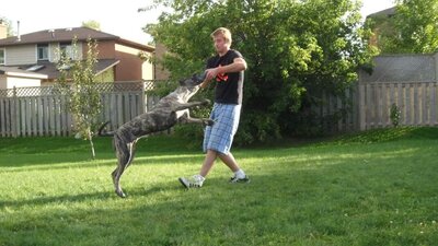FB_IMG_1732226584589