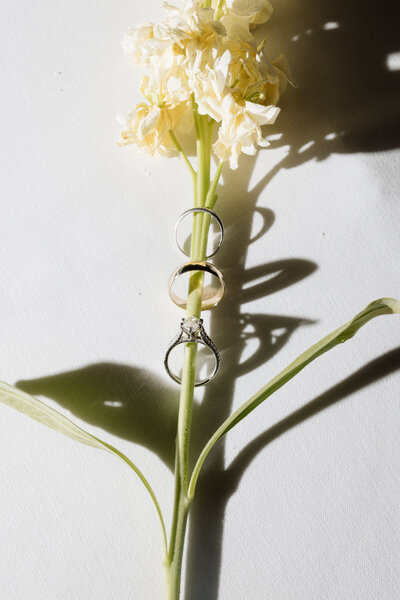 NYC Wedding Photographer - Jenna Maul Photo-4