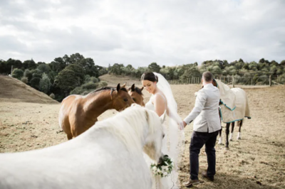 A bride and groom walking through a field with horses during their wedding photoshoot with auckland photographer michelle kelly