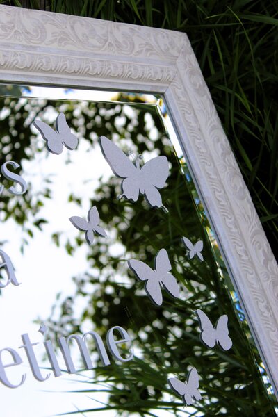 butterfly sign for rent (3)