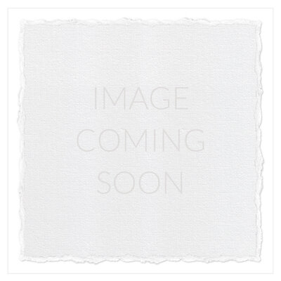 The picture captures a heartwarming family moment on the picturesque Galveston beach at sunset. The family of five - a mom, dad, son, and two daughters - are standing together in the soft, golden light, their faces aglow with joy and contentment.  The scene is set against the stunning backdrop of the vast, shimmering ocean and the gentle waves lapping at the shore. The family is standing in the sand, their toes buried in the warm grains, as they take in the breathtaking view.  The photograph has a clean, pure, and airy style, perfectly capturing the serene and tranquil atmosphere of the moment. The lighting is soft and flattering, casting a warm, golden glow over the family's faces and highlighting their features.  The family's body language and expressions convey a sense of togetherness and happiness. They are standing close to one another, their arms around each other, as if they are sharing a special moment that they will cherish forever.  The overall composition of the image is well-balanced and visually appealing, with the family positioned in the center of the frame and the ocean and sky filling the background. The photographer, Bri Sullivan, has done an excellent job of framing the scene and capturing the essence of the moment.  This photograph is a beautiful and heartwarming representation of a family enjoying a peaceful and joyful moment together on the beach, and it is sure to evoke feelings of warmth and nostalgia in anyone who views it.