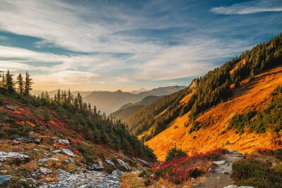 PNW mountains with fall colors on the leaves