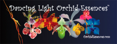 Dancing Light Orchid Essence -  Complete Collection - 7 sets