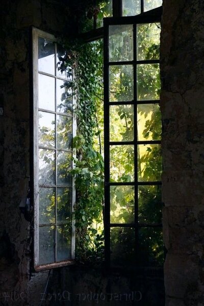 Fenetre-ouverte-foret-bien-etre-nature-ressource