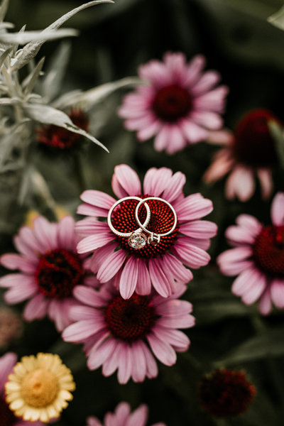 Kaelyn_Veronica_Engagement_Session_7.15.18-30