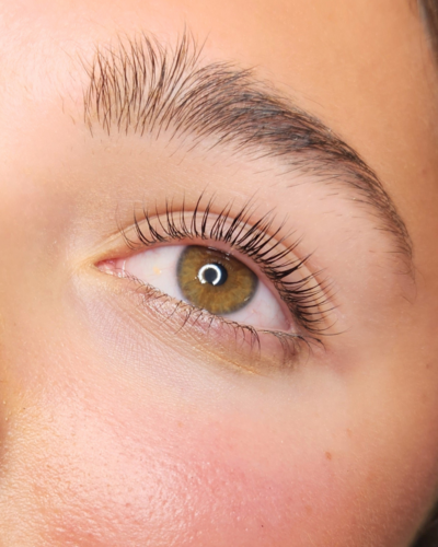 Berea lash lift and tint