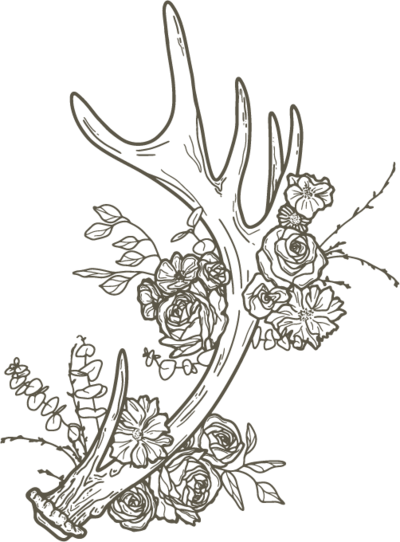 antler and floral illustration