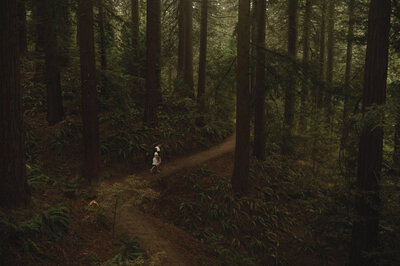 silver falls wedding