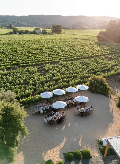 Napa Valley Wedding- Natalie Renee Photography_0100