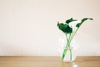 plant on a glass vase on a wooden tabletop