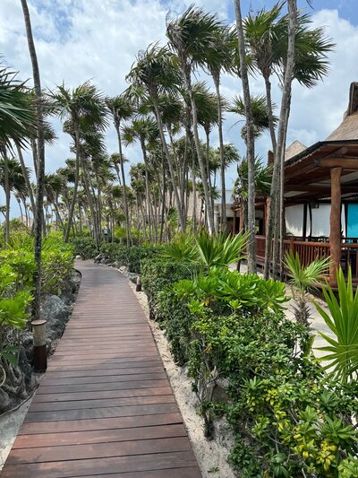 caribbean-beach-path