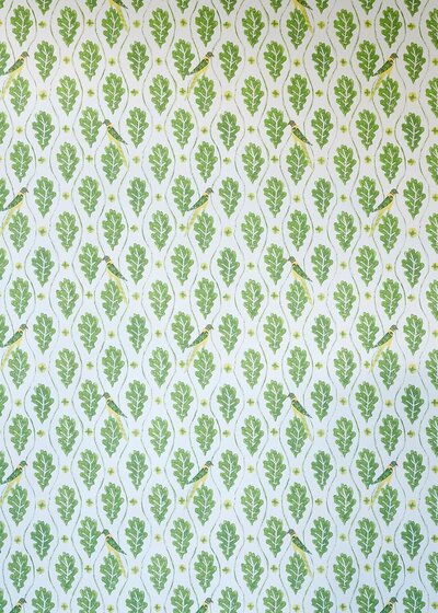 Parakeets
