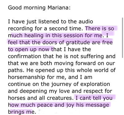 animal communication testimonial
