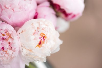 Heart's Content Events - Virginia Maryland DC Wedding and Event Planner - Marriage Coach - Adrienne Rolon - Photo7