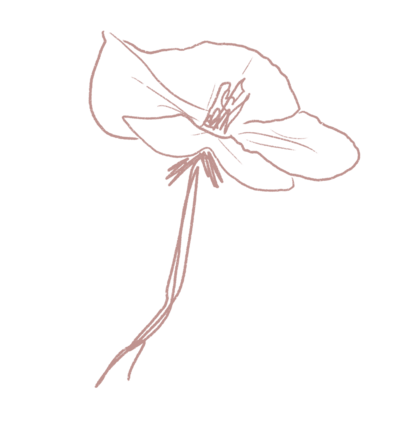 darkpink2 copy