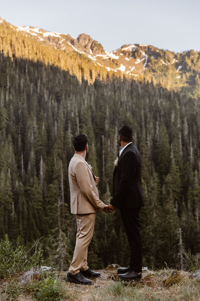 two grooms stand holding hands looking out at the north cascades wilderness