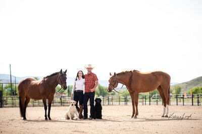 Dogs+ horses