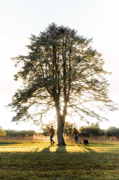 A couple runs around the tree with their dog in the sunset
