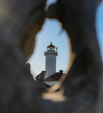 DSC_0106 (2)