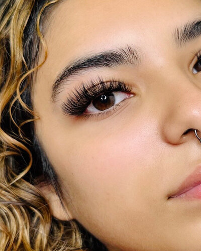 Lash Closeup