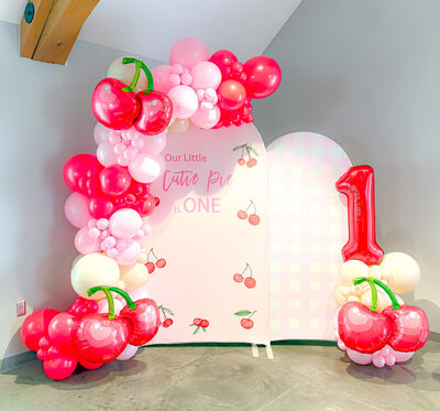 balloons-bismarck-nd-151