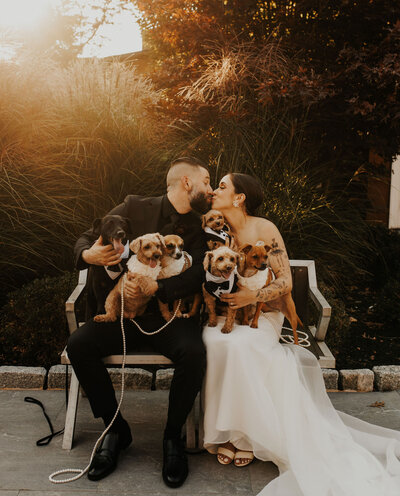 Dog walking down aisle as ring bearer — NYC wedding with pet-friendly planning
