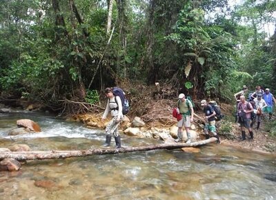 Journey into Napusamai