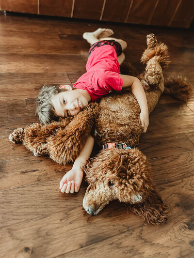 Red AKC Standard Poodle Puppy being hugged by a child