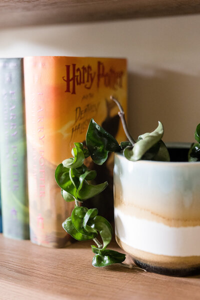 Harry Potter books on shelf next to a plant