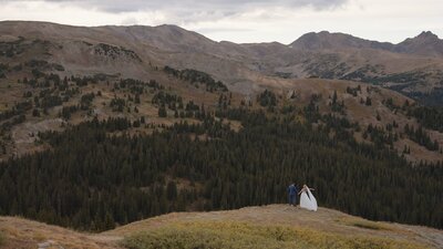 Frame7