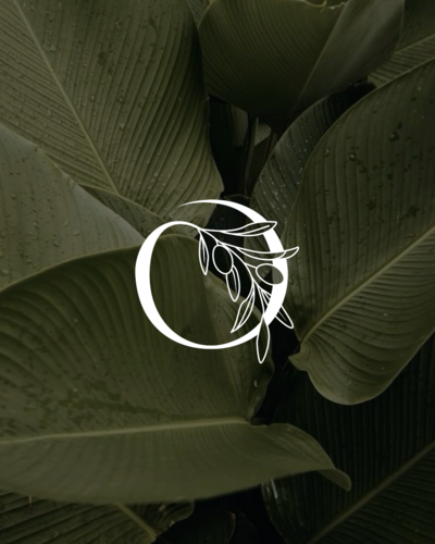Olistika-graphiste