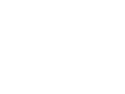 Logo Wonderlik Webdesign Wit